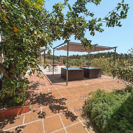 Quinta De Sao Pedro De Tomar Villa Luaran gambar