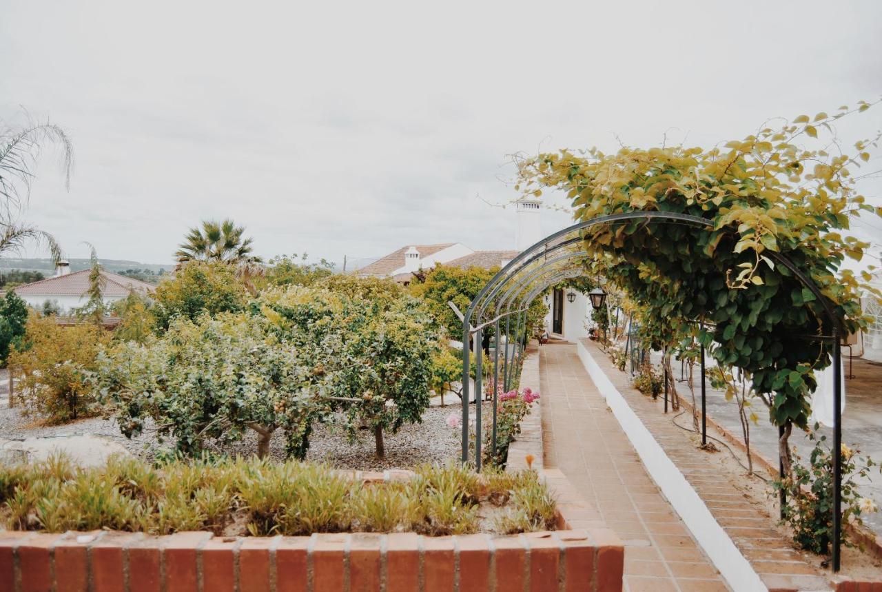 Quinta De Sao Pedro De Tomar Villa Luaran gambar