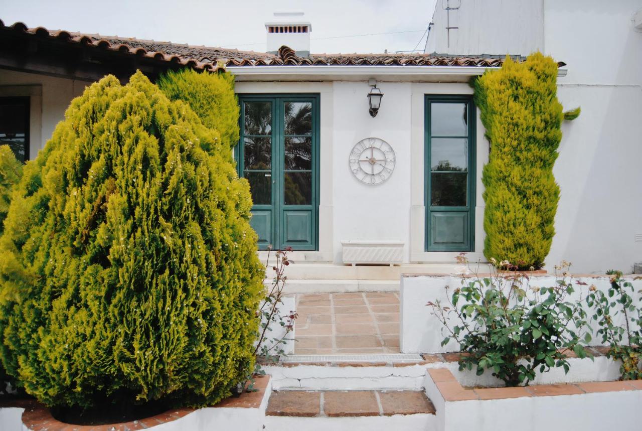 Quinta De Sao Pedro De Tomar Villa Luaran gambar