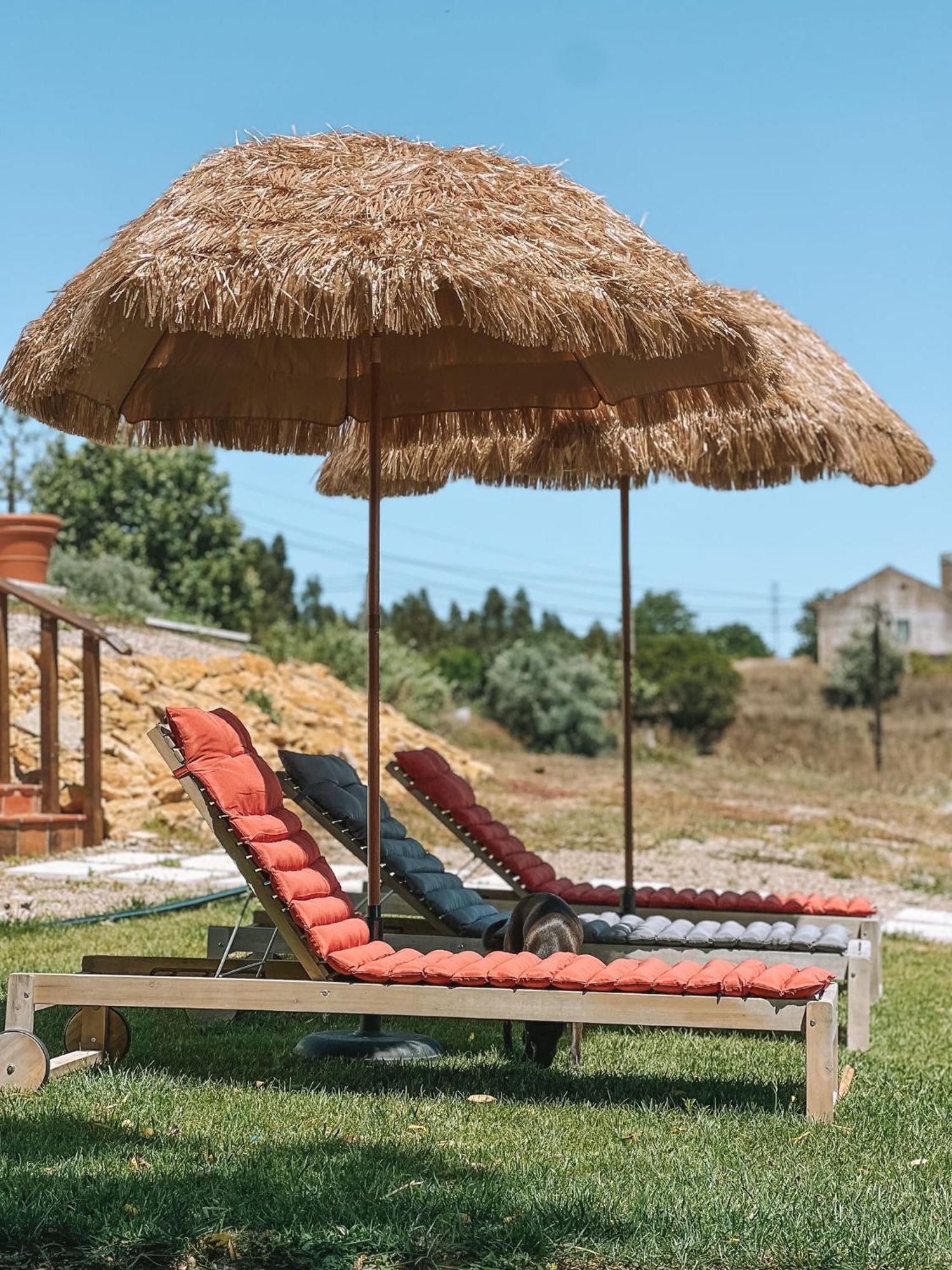 Quinta De Sao Pedro De Tomar Villa Luaran gambar