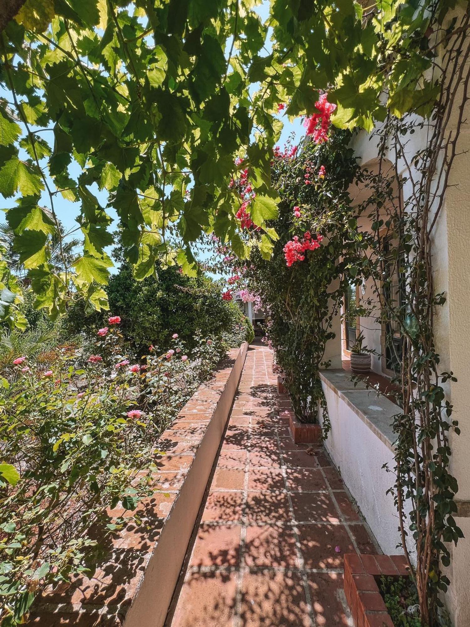 Quinta De Sao Pedro De Tomar Villa Luaran gambar